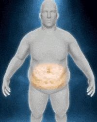 👣 CAJA DE PARCHES DETOX KINOKI PARA PIES 🍃