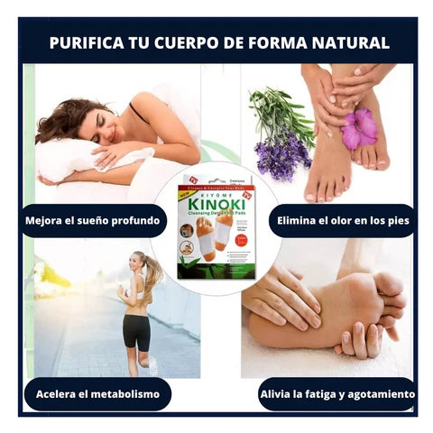 👣 CAJA DE PARCHES DETOX KINOKI PARA PIES 🍃